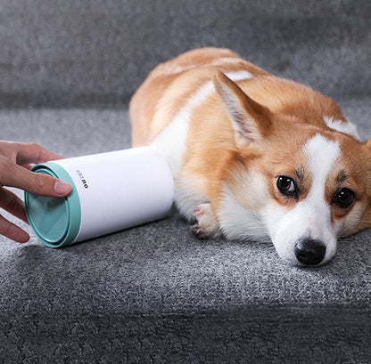 Dog paw being cleaned with a green-and-white paw cleaner cup.
